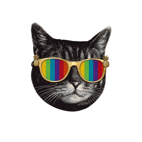 The Vests cat wearing gold pineapple sunglasses with rainbow lenses